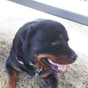 Meet your Posher, Aab